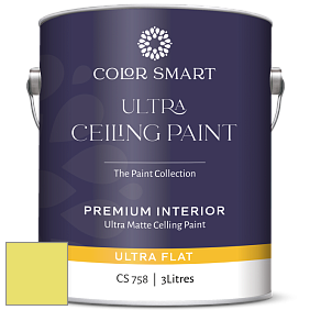 COLOR SMART CS 758 ULTRA CEILING PAINT ультраматовая краска цвет NCS S 0550-G70Y 