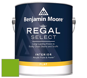 Benjamin Moore 547 Regal Select Waterborne Interior Flat Finish краска цвет 2031-20 Paradise Green