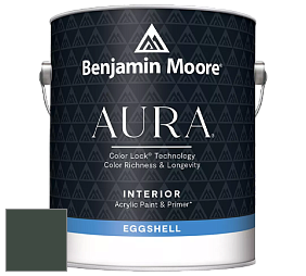 Benjamin Moore Aura 524 Waterborne Interior Eggshell Finish краска цвет NCS S 8010-G10Y 
