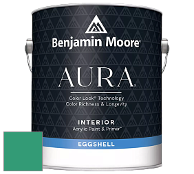 Benjamin Moore Aura 524 Waterborne Interior Eggshell Finish краска цвет 2043-30 Kelp Forest Green
