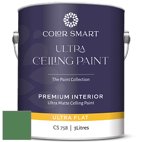 COLOR SMART CS 758 ULTRA CEILING PAINT ультраматовая краска цвет 2036-20 Irish Moss