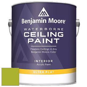 Benjamin Moore 508 Waterborne Ceiling Paint краска для потолков цвет 2028-30 Tequila Lime