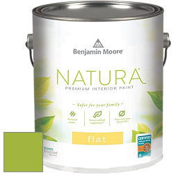Benjamin Moore 512 Natura Interior Flat Finish матовая краска цвет NCS S 1070-G40Y 