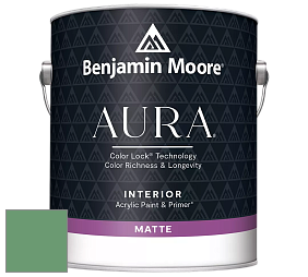 Benjamin Moore Aura 522 Interior Paint - Matte краска цвет NCS S 3040-G10Y 