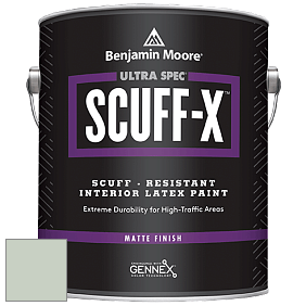 Benjamin Moore 484 Ultra Spec SCUFF-X Interior Matte Finish краска цвет AF-485 