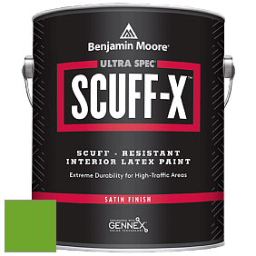 Benjamin Moore 486 Ultra Spec SCUFF-X Interior Satin Finish краска цвет 2030-20 Tropical Seaweed Green