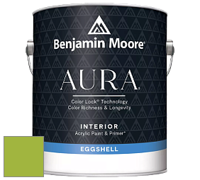 Benjamin Moore Aura 524 Waterborne Interior Eggshell Finish краска цвет NCS S 1070-G40Y 