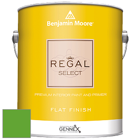 Benjamin Moore 547 Regal Select Waterborne Interior Flat Finish краска цвет 2032-20 Traffic Light Green