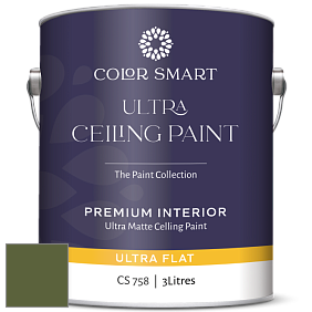COLOR SMART CS 758 ULTRA CEILING PAINT ультраматовая краска цвет NCS S 5540-G40Y 