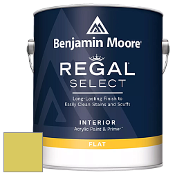 Benjamin Moore 547 Regal Select Waterborne Interior Flat Finish краска цвет NCS S 1050-G80Y 