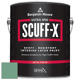 Benjamin Moore 486 Ultra Spec SCUFF-X Interior Satin Finish краска цвет NCS S 3030-G 