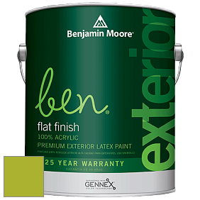 Benjamin Moore Ben 541 Waterborne Exterior Flat Finish краска цвет 2028-30 Tequila Lime