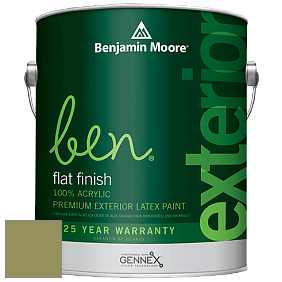 Benjamin Moore Ben 541 Waterborne Exterior Flat Finish краска цвет 539 Sycamore Tree