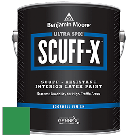 Benjamin Moore 485 Ultra Spec SCUFF-X Interior Eggshell Finish краска цвет NCS S 2070-G10Y 