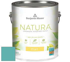 Benjamin Moore 512 Natura Interior Flat Finish матовая краска цвет NCS S 2040-B50G 