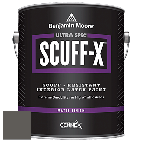Benjamin Moore 484 Ultra Spec SCUFF-X Interior Matte Finish краска цвет NCS S 7502-Y 