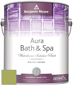Benjamin Moore Aura 532 Bath & Spa Waterborne Interior Paint Matte Finish краска цвет NCS S 2050-G50Y 