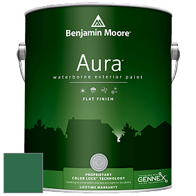 Benjamin Moore Aura 629 Waterborne Exterior Flat Finish краска цвет 2039-10 Deep Green
