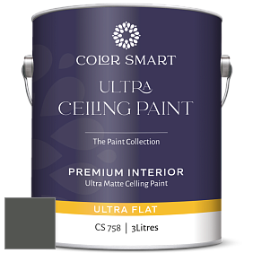COLOR SMART CS 758 ULTRA CEILING PAINT ультраматовая краска цвет 1582 Deep River