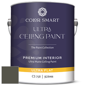 COLOR SMART CS 758 ULTRA CEILING PAINT ультраматовая краска цвет 2140-10 Fatigue Green