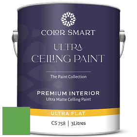COLOR SMART CS 758 ULTRA CEILING PAINT ультраматовая краска цвет 2033-30 Fresh Scent Green