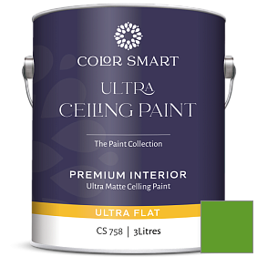 Краска COLOR SMART CS 758 ULTRA CEILING PAINT ультраматовая краска цвет 2030-10 Lizard Green