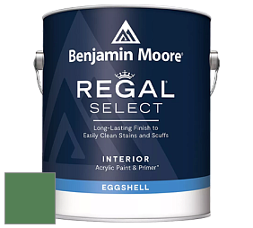 Benjamin Moore 549 Regal Select Waterborne Interior Eggshell Finish краска цвет 2036-20 Irish Moss