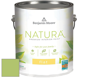 Benjamin Moore 512 Natura Interior Flat Finish матовая краска цвет NCS S 1050-G40Y 