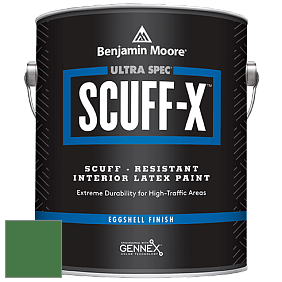 Benjamin Moore 485 Ultra Spec SCUFF-X Interior Eggshell Finish краска цвет 2035-20 Cactus Green