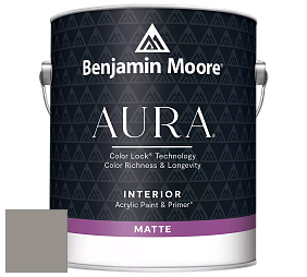 Benjamin Moore Aura 522 Interior Paint - Matte краска цвет NCS S 4502-Y20R 