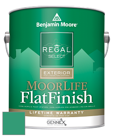 Benjamin Moore W105 Regal Select Exterior Paint-MoorLife Flat Finish краска цвет 2043-30 Kelp Forest Green