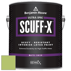 Benjamin Moore 484 Ultra Spec SCUFF-X Interior Matte Finish краска цвет 2029-40 Stem Green