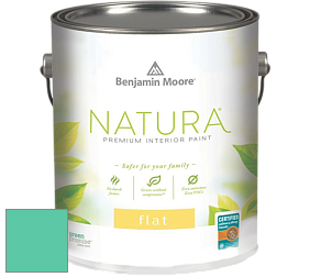 Benjamin Moore 512 Natura Interior Flat Finish матовая краска цвет 2044-40 Amelia Island Blue