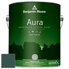 Benjamin Moore Aura 629 Waterborne Exterior Flat Finish краска цвет 2047-10 Forest Green