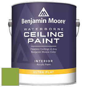 Benjamin Moore 508 Waterborne Ceiling Paint краска для потолков цвет 2029-30 Rosemary Green