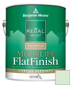 Краска Benjamin Moore W105 Regal Select Exterior Paint-MoorLife Flat Finish краска цвет 568 Parkside Dunes