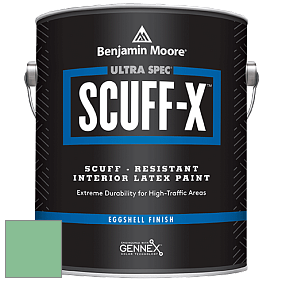 Benjamin Moore 485 Ultra Spec SCUFF-X Interior Eggshell Finish краска цвет 2036-40 Meadowlands Green
