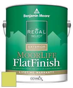 Benjamin Moore W105 Regal Select Exterior Paint-MoorLife Flat Finish краска цвет 2026-40 Apple Green