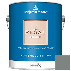 Краска Regal Select Waterborne Interior Eggshell Finish (549) цвет AC-18 BM AC-18