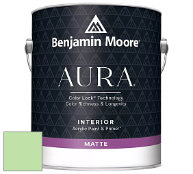 Benjamin Moore Aura 522 Interior Paint - Matte краска цвет 2032-50 Early Spring Green