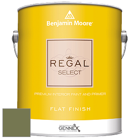 Benjamin Moore 547 Regal Select Waterborne Interior Flat Finish краска цвет NCS S 5030-G50Y 