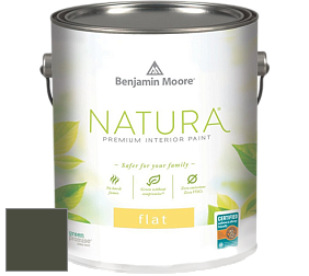 Benjamin Moore 512 Natura Interior Flat Finish матовая краска цвет NCS S 8010-G50Y 