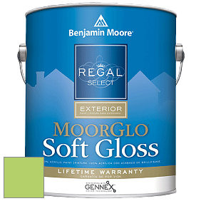 Benjamin Moore W096 Regal Select Exterior Paint-Moor GloSoft Gloss Finish краска цвет 2031-40 Spring Meadow Green