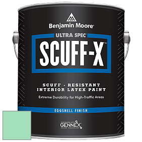 Benjamin Moore 485 Ultra Spec SCUFF-X Interior Eggshell Finish краска цвет 2037-50 Greenwood Lake
