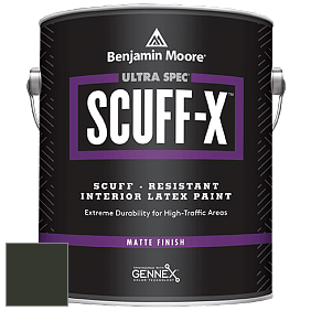 Benjamin Moore 484 Ultra Spec SCUFF-X Interior Matte Finish краска цвет RAL 6008 