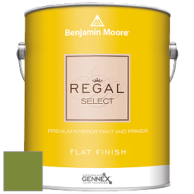 Benjamin Moore 547 Regal Select Waterborne Interior Flat Finish краска цвет NCS S 3060-G40Y 