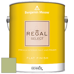 Benjamin Moore 547 Regal Select Waterborne Interior Flat Finish краска цвет NCS S 2030-G50Y 