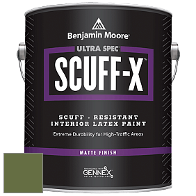 Benjamin Moore 484 Ultra Spec SCUFF-X Interior Matte Finish краска цвет NCS S 5040-G40Y 