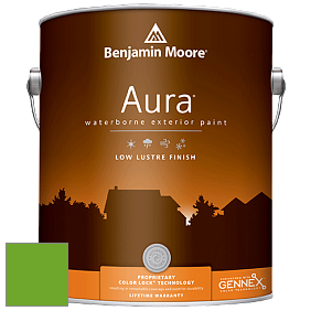 Benjamin Moore Aura 634 Waterborne Exterior Low Lustre Finish краска цвет 2030-20 Tropical Seaweed Green