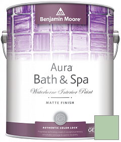 Краска Benjamin Moore Aura Bath & Spa Interior Paint Matte Finish (532) цвет 563 Douglas Fern